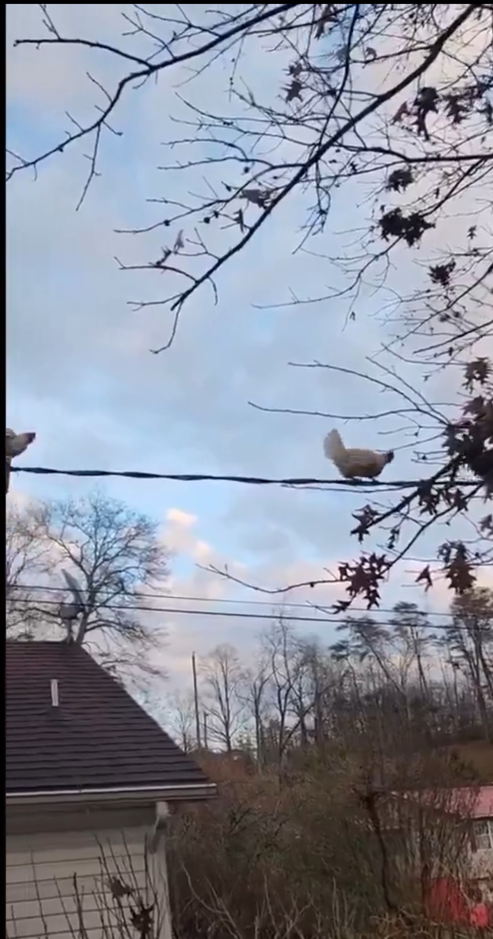 Mission impossible 🤣