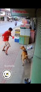 اوعى تعمل شبح 😂