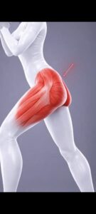 thigh exercises